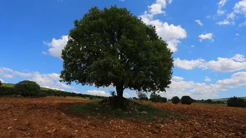 Clean world Stock Footage 82857191
