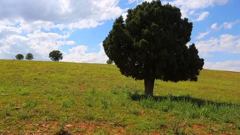 Clean world Stock Footage 82857270