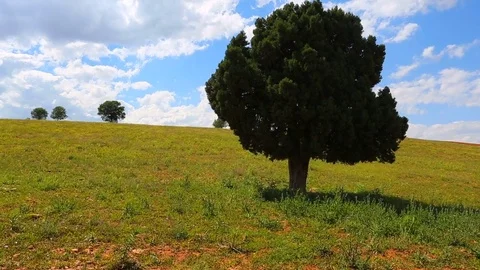 Clean world Stock Footage 82857391