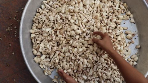 Cleaned and chopped fresh mushrooms kept in a big vessel , button mushroom. Stock Footage 250168960