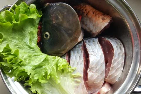 Cleaned fish carp in a dish on the kitchen table decorated with lettuce Photos
