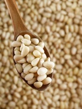 Cleaned pine nuts. Pine nut kernels lie in wooden spoon. Top view of nuts close Foto stock