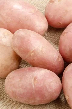 Cleaned red potatoes on jute Stockfoto's