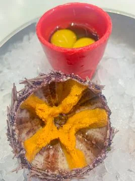 A cleaned sea urchin with a cut shell and caviar inside in the shape of a star Stock Photos