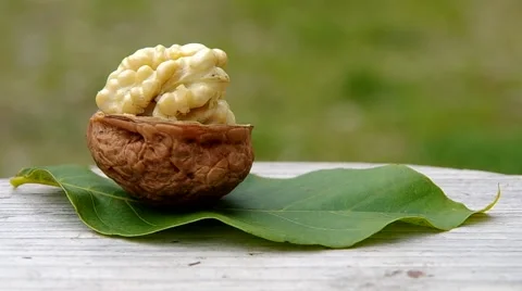 Cleaned walnuts Stock Footage 41920906