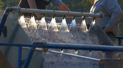 The Cleaner Cranberry; 1 Stock Footage 8926603