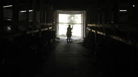 A cleaner on a farm for breeding cows Stock Footage 56232346