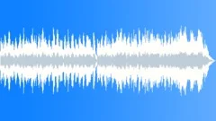 Cleaner JoyStock Music