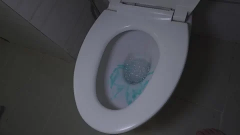 A Cleaner Using Blue Cleaning Detergent in a White Toilet Bowl Vídeos de archivo 345134407