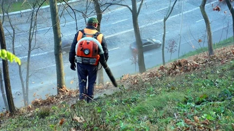 The cleaner is working Stock Footage 165351276