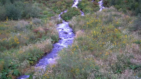 The cleanest mountain spring , clear water drains through the mountains 스톡 동영상 94123995