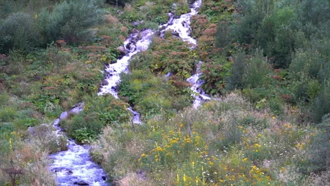 The cleanest mountain spring , clear water drains through the mountains Stock-Footage 94124322