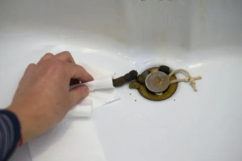 Cleaning after cat 写真素材
