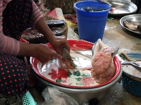 Cleaning and processing fish in a market in Bagan, Myanmar Stock-Footage 82592590