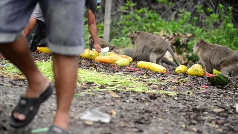 Cleaning up an area Stock Footage 158936649