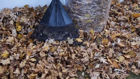 Cleaning up Autum Leaves Video stock 89411103