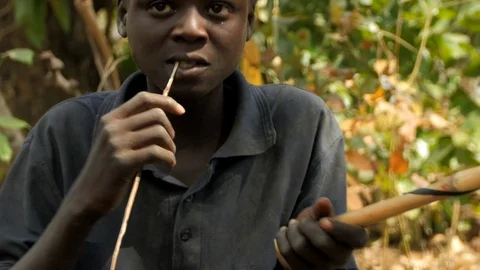 Cleaning Bamboo for a Flute co Stock Footage 115735617