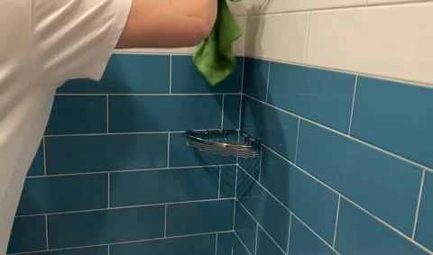 Cleaning the bathroom Stock Footage 276835365