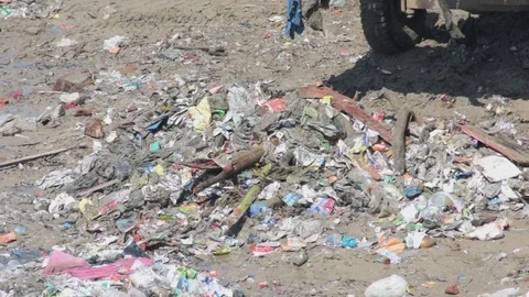 Cleaning up the beach with plastic bags full of garbage. Stock Footage 118570128