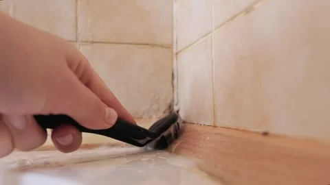 Cleaning begins: tools and cleaning products are placed on the bathroom surface, Stock Footage 303052602