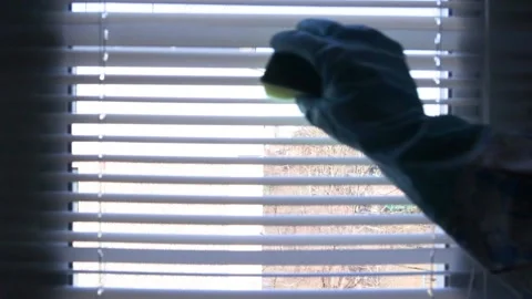Cleaning Blinds in the House. Hands Protected With Blue Gloves Cleaning. Stock Footage 170384902