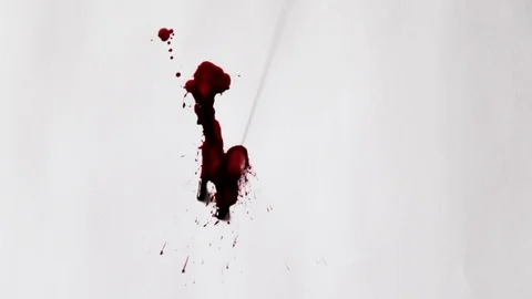 Cleaning blood splash on white background. halloween concept Video stock 115996059