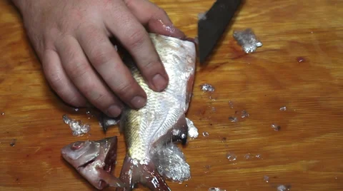 Cleaning bream fish with knife Stock Footage 36004732
