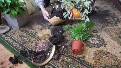 Cleaning up broken pots on the floor 스톡 동영상 286302472