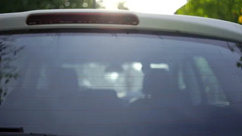 Cleaning car glass Stock Footage 100897302