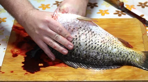 Cleaning carp fish Stock Footage 36005273