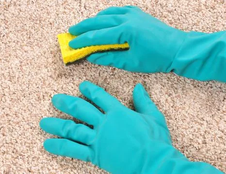 Cleaning carpet 스톡 사진
