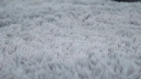 Cleaning the carpet with vacuum cleaner Stock Footage 72153316