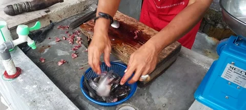 Cleaning The Cat Fish Stock Footage 268288690