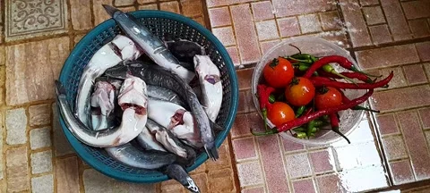 Cleaning Cat Fish Stock-Footage 268288758