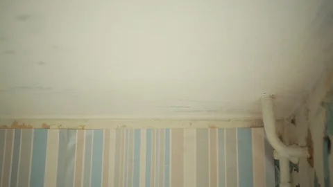 Cleaning ceiling brush Stock Footage 88613143