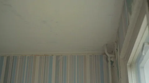 Cleaning ceiling brush Stock Footage 88658932