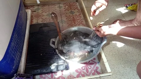 Cleaning chicken feathers manually Stock Footage 305015461