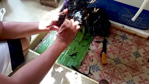 Cleaning chicken feathers manually Stock Footage 305023026