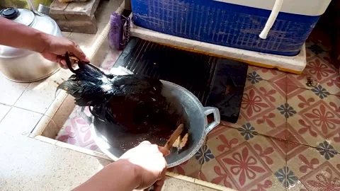 Cleaning chicken feathers manually Stock Footage 305023665