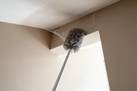 Cleaning a cobweb from a ceiling corner with a long-handled duster Stock Photos