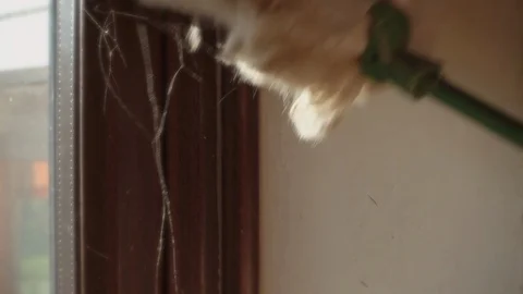 Cleaning cobwebs. Stock Footage 96144237