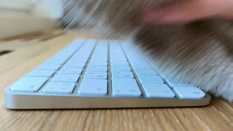 Cleaning a computer keyboard with a soft cloth. Hand wiping dust off keys d.. Stock Footage 340283614