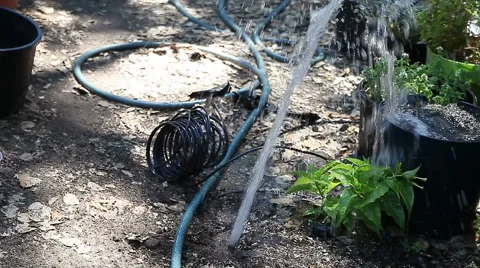 Cleaning dirt out of old backyard sprinkler Video stock 41023075