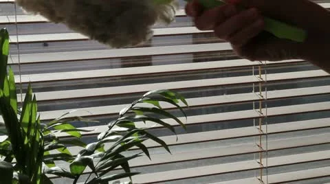 Cleaning dirty blinds - HD Stock Footage 21933596