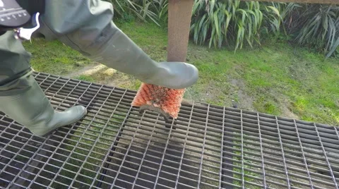 Cleaning Dirty Sandy Boots Using Static Brush Stock-Footage 54985213