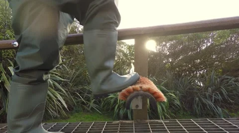 Cleaning Dirty Sandy Boots Using Static Brush Video stock 54985254