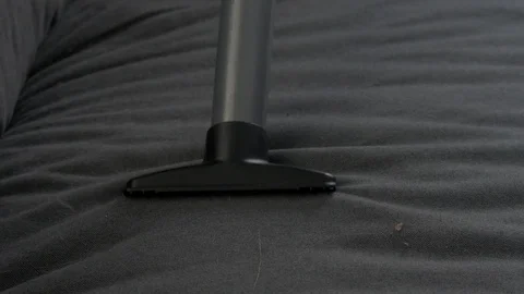 Cleaning dirty sofa Video stock 103190174