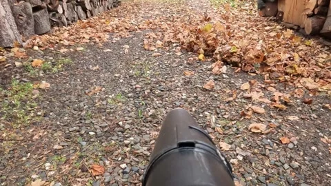 Cleaning the driveway with a leaf blower Stock Footage 321328885