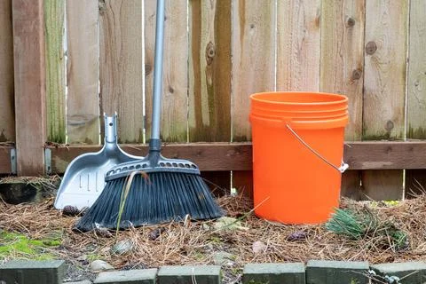 Cleaning up dry pine needles in the backyard. Cleaning tools standing ready f Stock Photos
