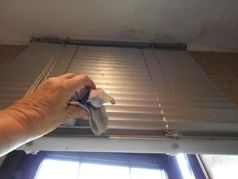 Cleaning the dust of the blinds Stock Photos